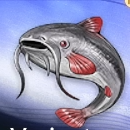 Duet Night Abyss (DNA) - Longwhisker Variant