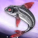 Duet Night Abyss (DNA) - Waterskull Variant