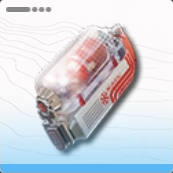 Buck Capsule [B]
