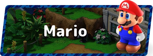 Mario Banner