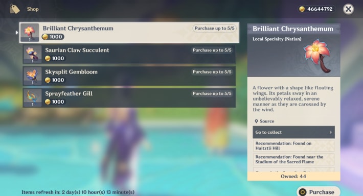 Purchase From NPCs