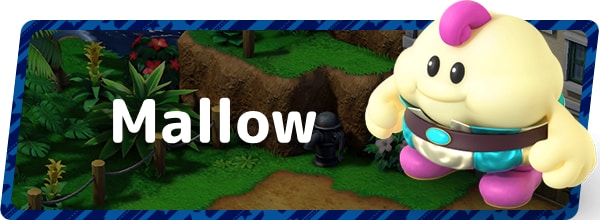 Mallow Banner