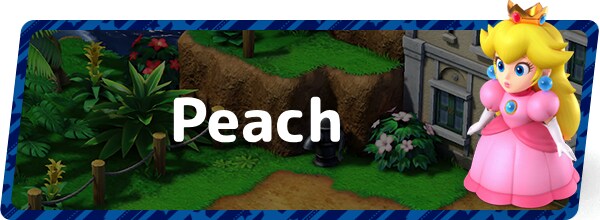 Peach Banner