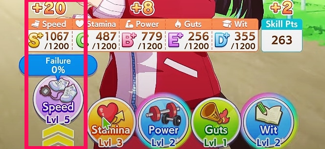 Higher Training Level, Bigger Gains