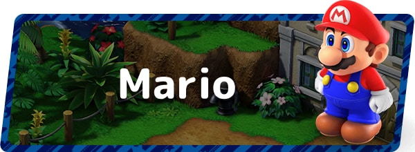Mario Banner