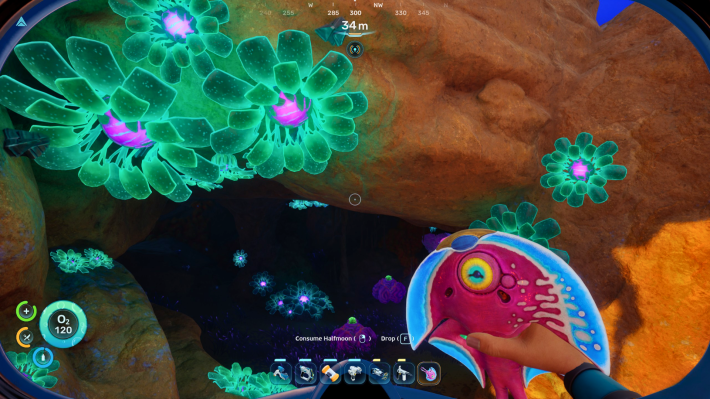 Subnautica 2 Catching a Halfmoon