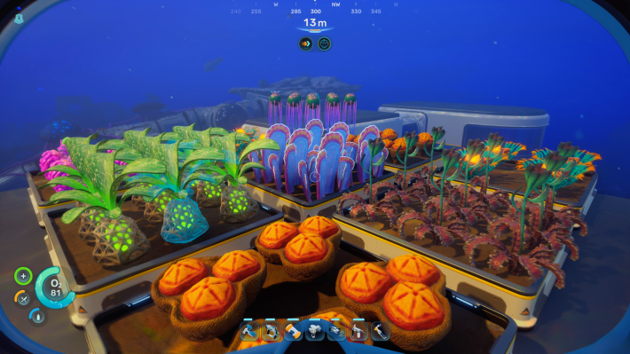 Subnautica 2 Growbeds