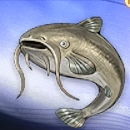 Duet Night Abyss (DNA) - Longwhisker