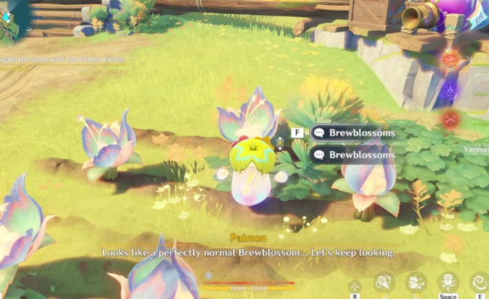 Dreamy Paititi Flower