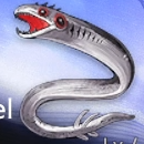 Duet Night Abyss (DNA) - Bonegnaw Eel Variant