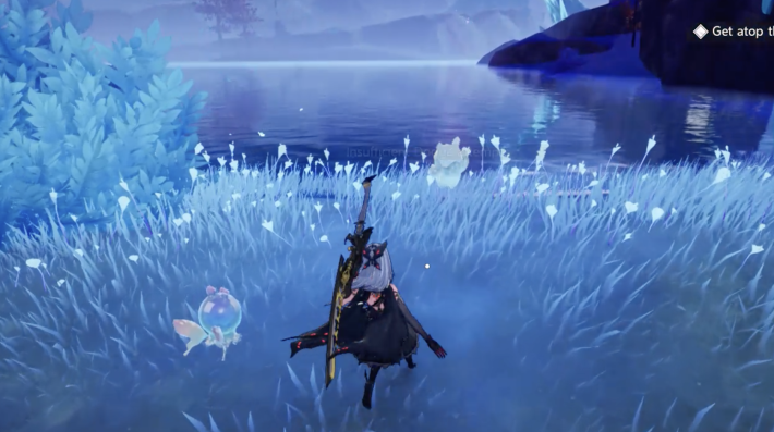 Catch From the Overworld