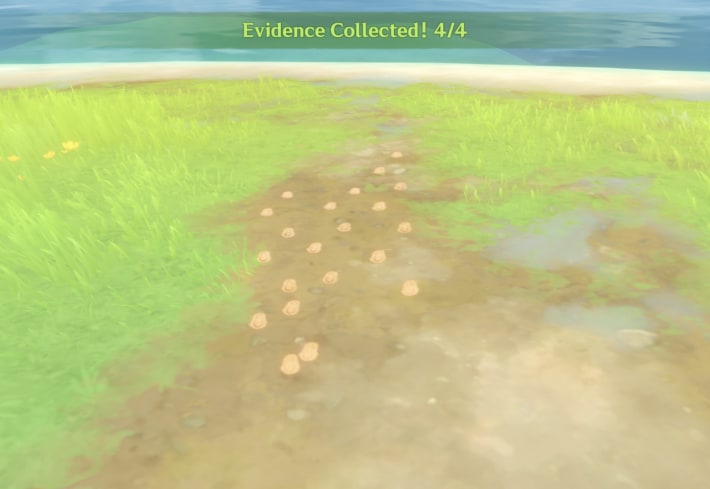 Tracing Vanishing Trails Event