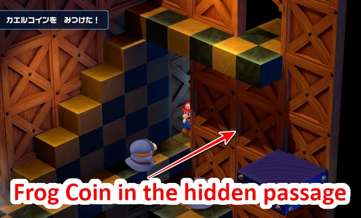 Hidden Frog Coin