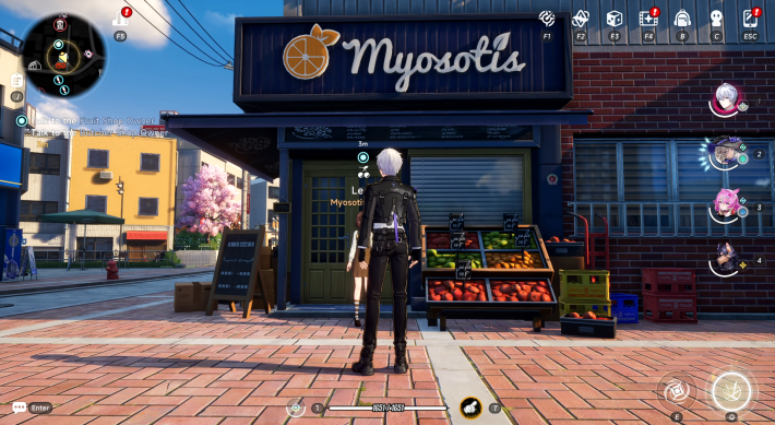 NTE Zero in Myosotis