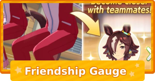 Friendship Gauge