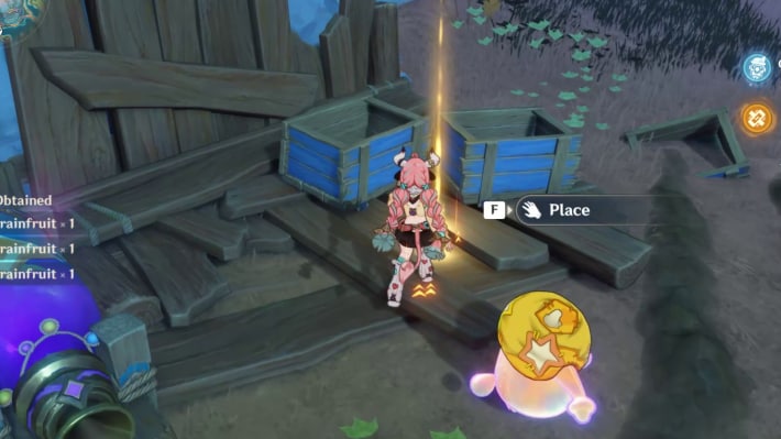 Place Grainfruits here