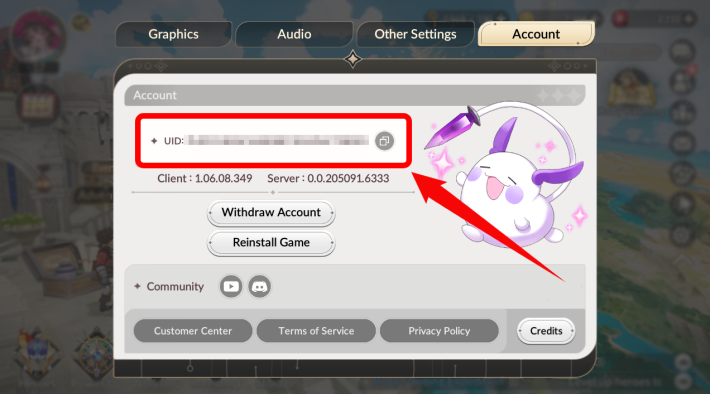Codes -  Member ID under UID