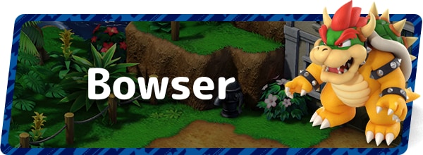 Bowser Banner