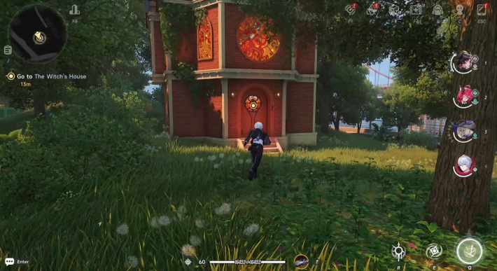 The wItch house