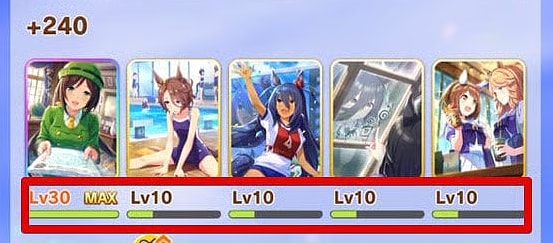 Support Card EXP