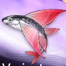 Duet Night Abyss (DNA) - Seaskimmer Variant