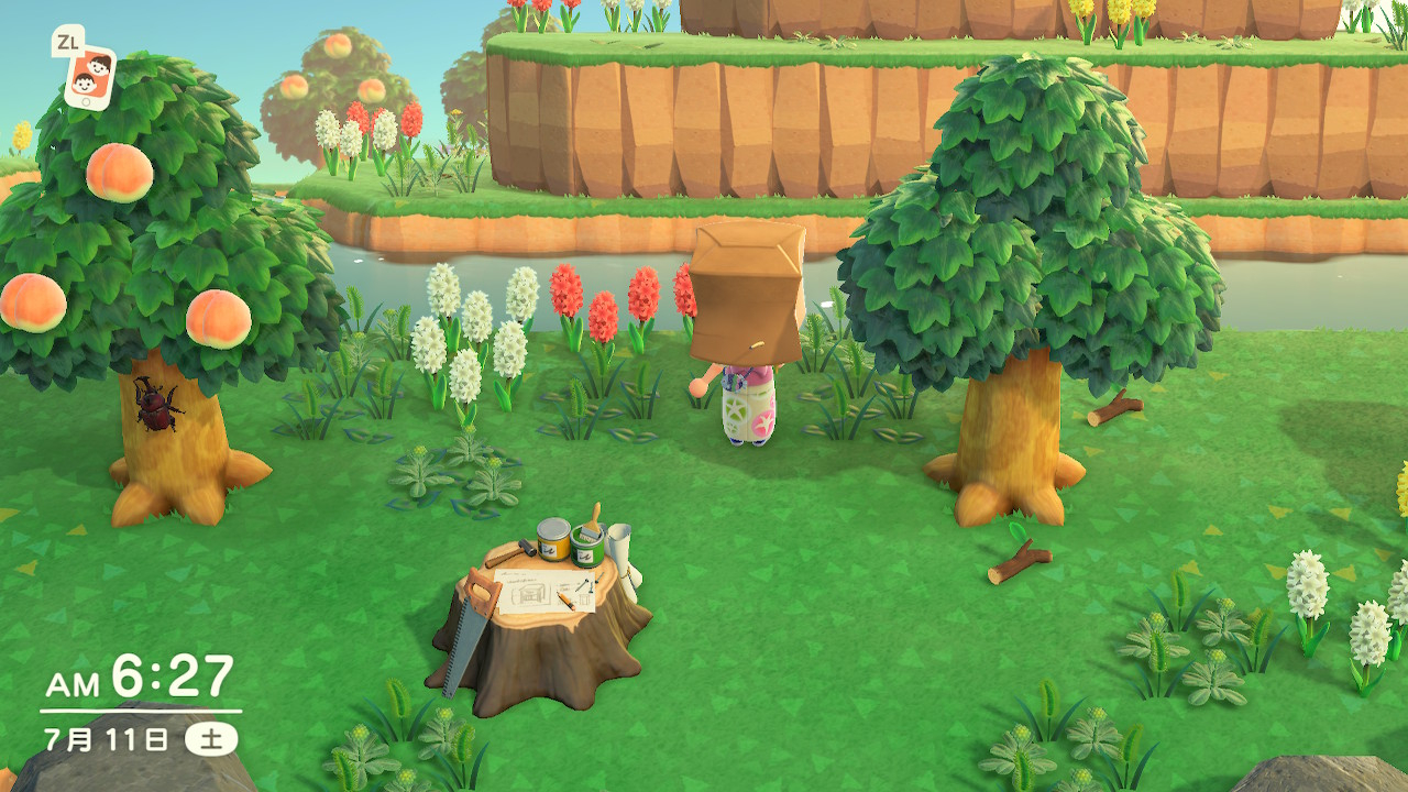 Mystery Island Guide Maps, Types & Villagers Animal Crossing (ACNH