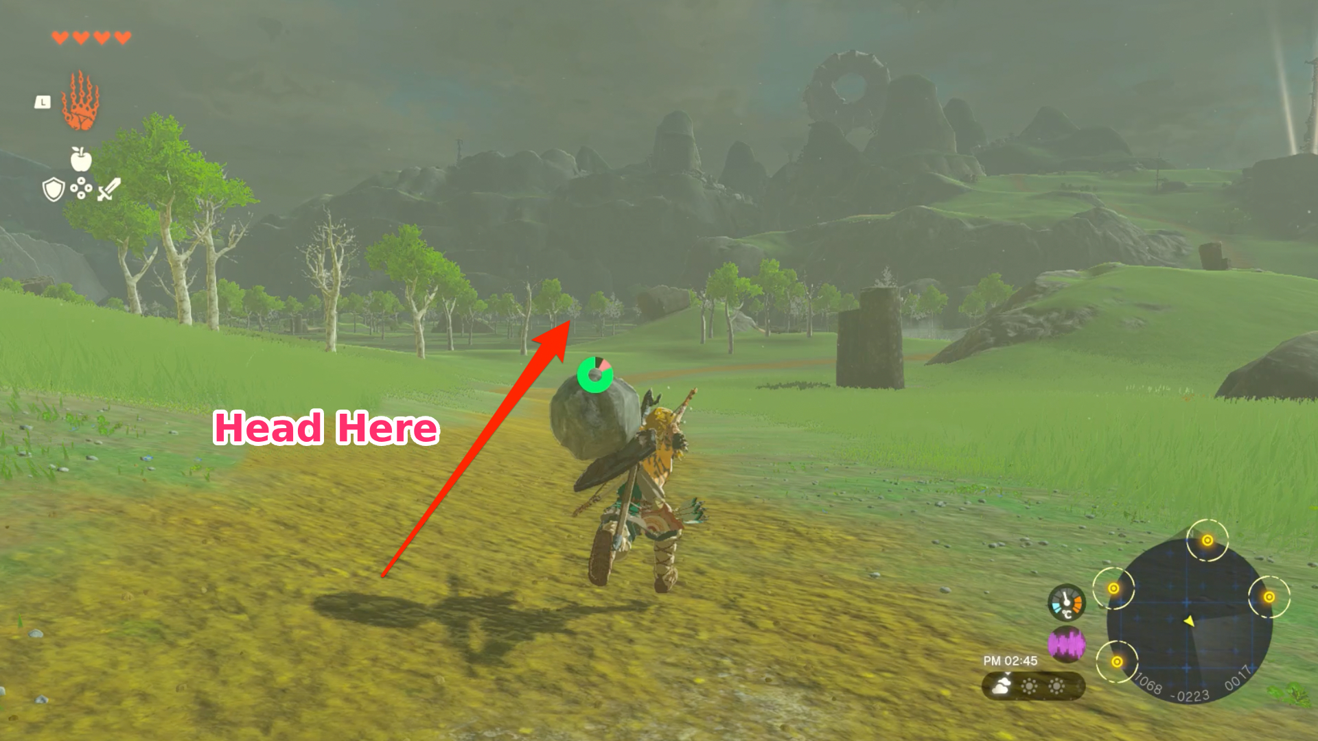 TotK Zora's Domain Guide How To Go & Things To Do Zelda Tears Of