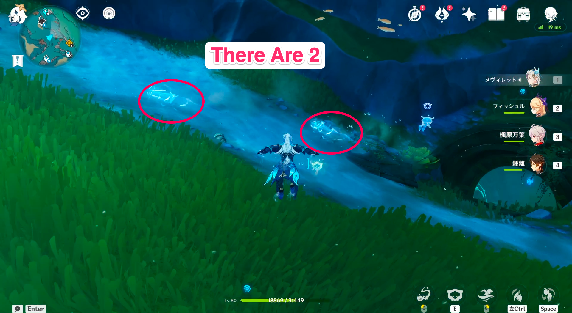 Genshin Strange Eel Locations & Guide GameWith