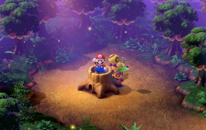 Enter the stump