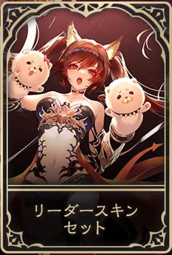 リーダースキンの画像