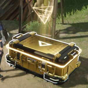 chests