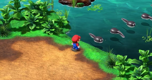Tadpole Pond